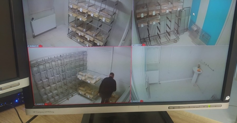Veterinerlik Fakültesinde Kamera Altyapısı Güçlendirilmesi