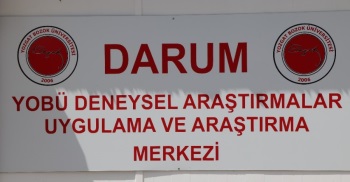 Darum İnternet Altyapısı Kablo Yenileme Çalışmaları Tamamlandı