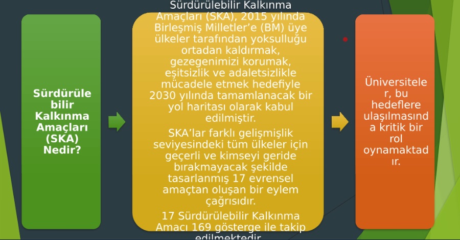 Üniversitemizde BM Sürdürülebilir Kalkınma Amaçları Online Eğitim Gerçekleştirildi